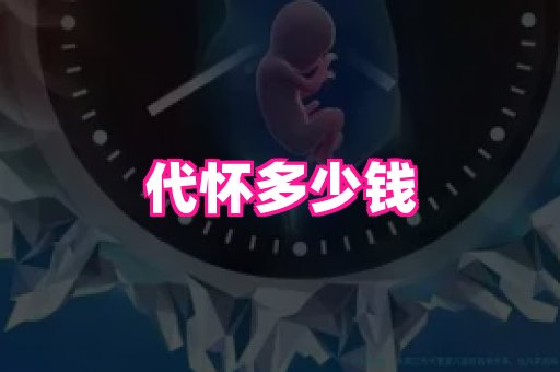 乐乐助孕网 1