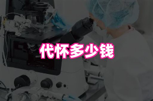乐乐助孕网 2