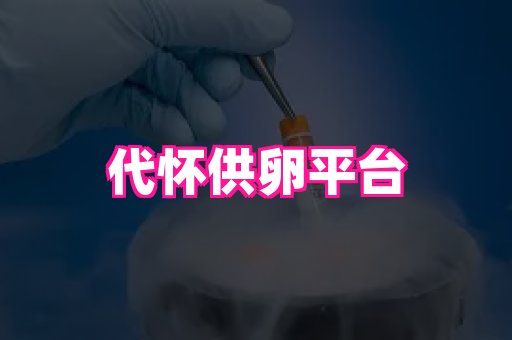 乐乐助孕网 3