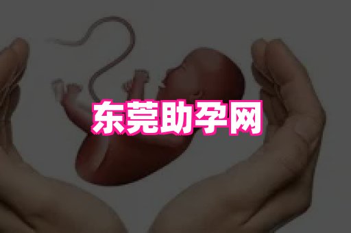乐乐助孕网 4